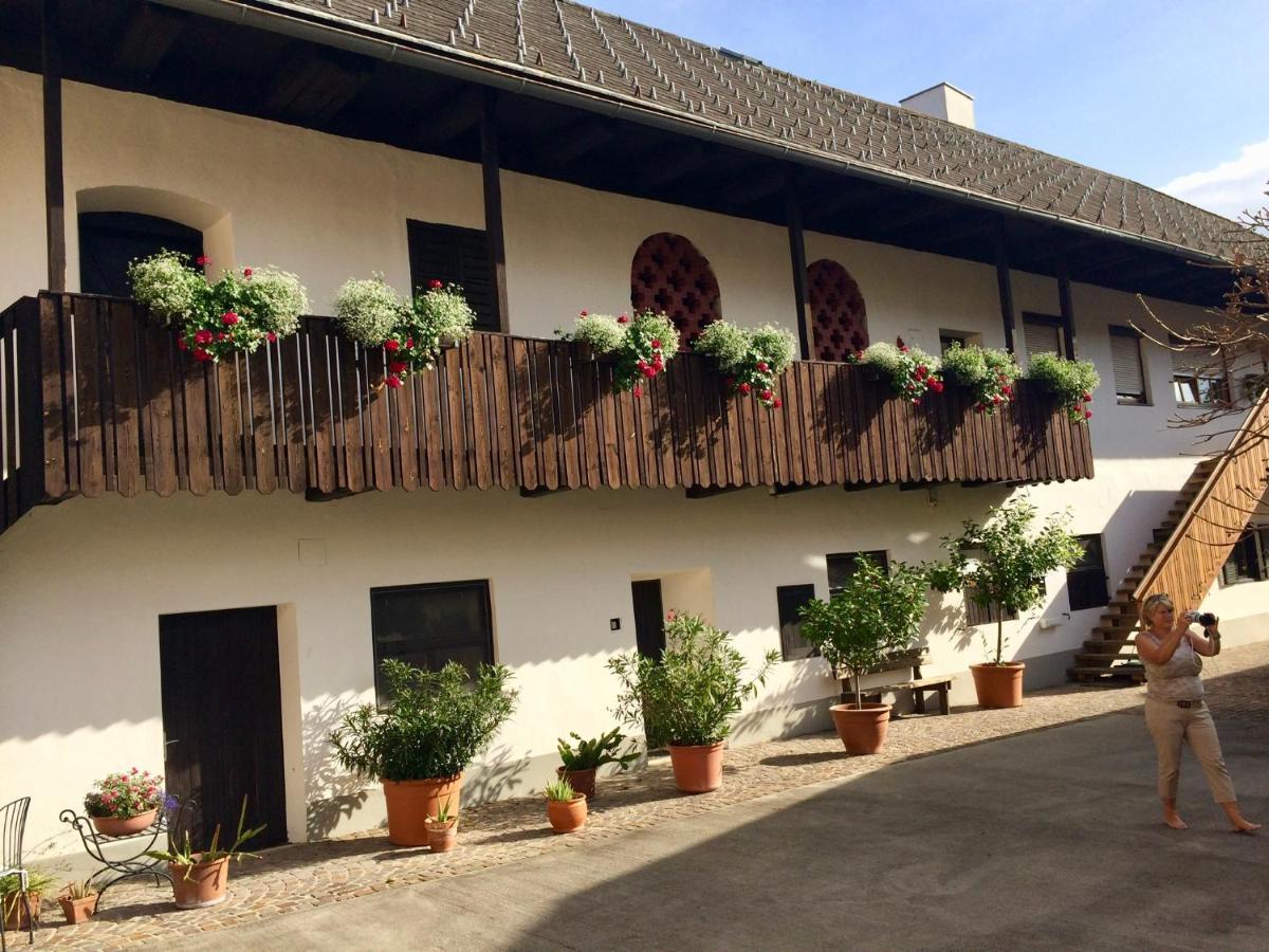 VIII Panorama-Ferienwohnung Petzenblick Smihel nad Pliberkom Exterior foto